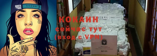 соль ск Алзамай